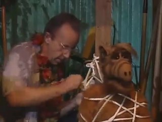 ALF Staffel 4 Folge 13 "Die Hawaii Party" #Deutsch
