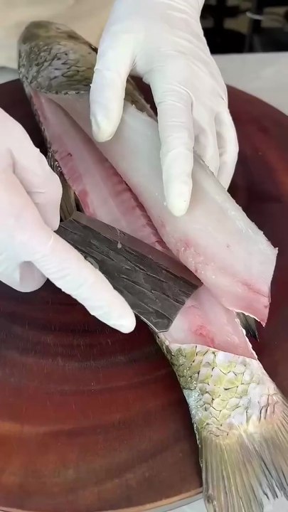 fish cutting 2025??