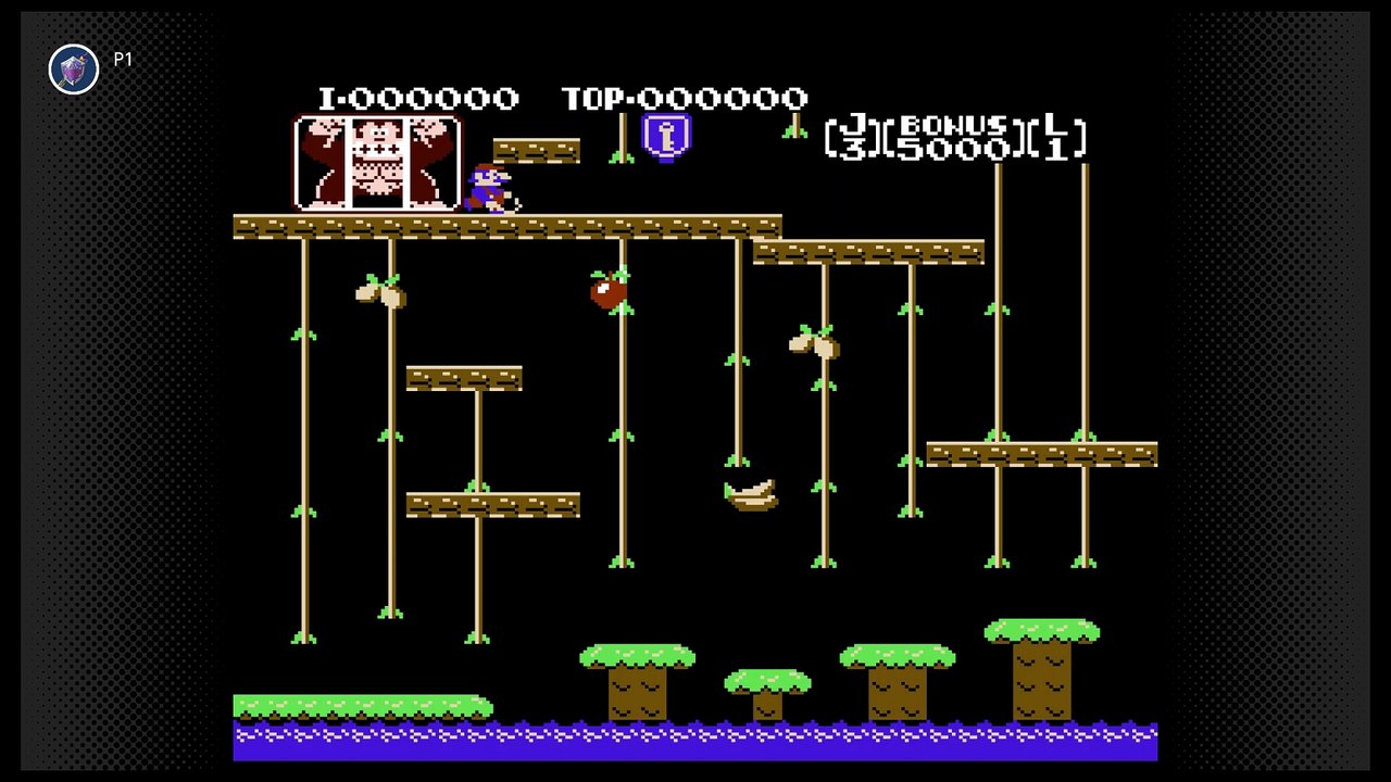 Donkey Kong Jr. NES No Damage Game A+B