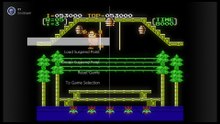 Donkey Kong 3 No Damage Game A+B