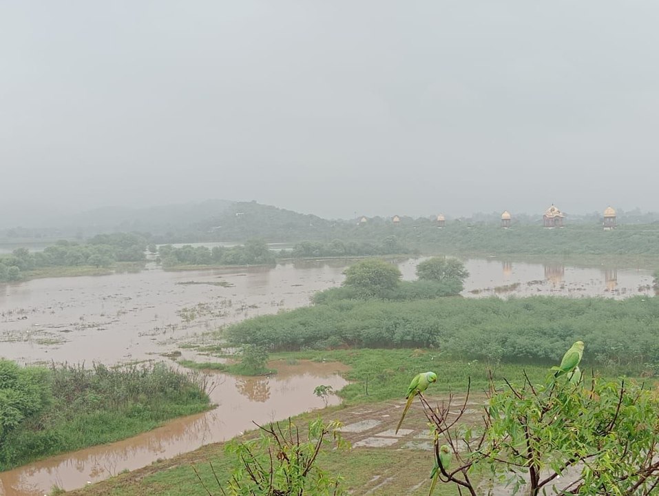 सिलीसेढ़ का पानी जयसमंद पहुंचा, रूपारेल नदी में...