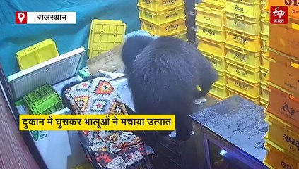 'मम्मा' भालू ने बच्चों के साथ की पार्टी...पूरे दुकान को किया तहस-नहस