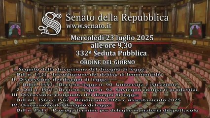 Roma - Senato - 19° Legislatura - 332° seduta (23.07.25)