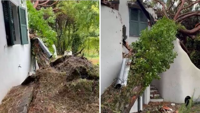 Il video dei danni alla casa di Arrigo Sacchi a Milano Marittima dopo la tempesta: «Mai visto niente di simile, io miracolato»