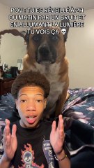 Attention au propriétaire ! Abonne-toi pour plus de contenu exclusif ⚠️