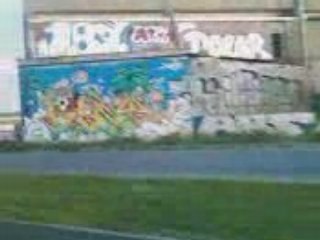 VID011