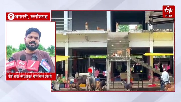 आवारा कुत्तों पर सुप्रीम कोर्ट के आदेश के बाद धमतरी में डॉग शेल्टर होम और बधियाकरण की जानिए स्थिति