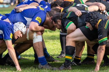Wallamba Bulls v Forster-Tuncurry Dolphins_23.8.2025
