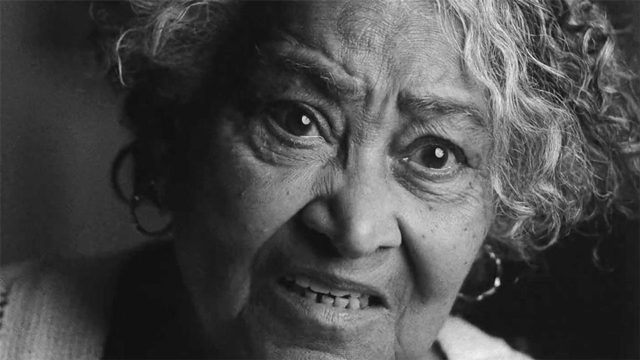 True North Trailer OV