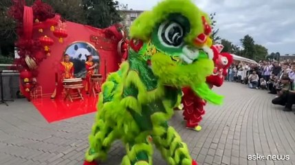 Il Panda Katyusha festeggia il secondo compleanno allo zoo di Mosca