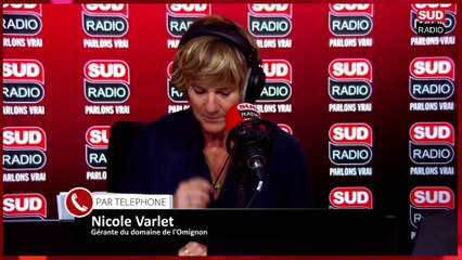 Vivre une déconnexion dans des cabanes et des roulottes