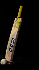 Heega Newly Extended Spine Kashmir Willow Cricket Bat