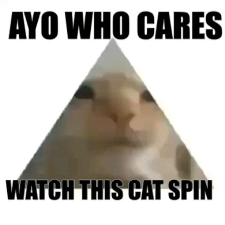 Ayo kim Önemser İzle bu kedi dönüşünü