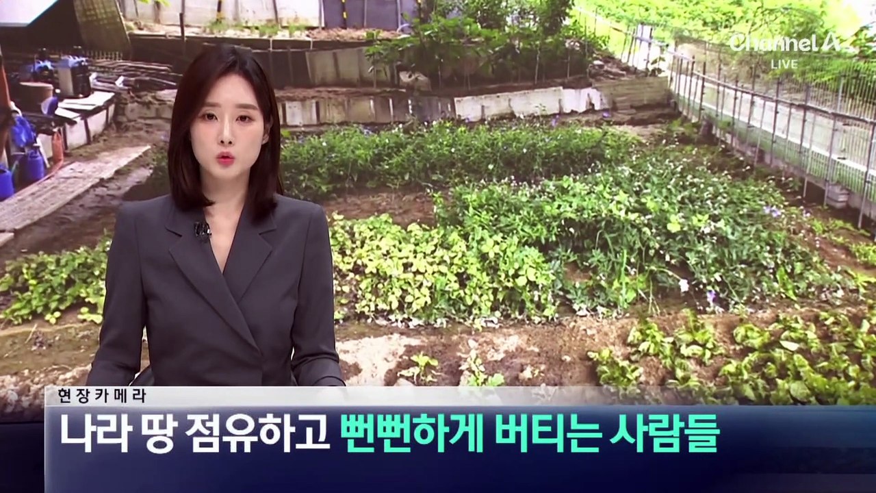 [현장 카메라]나라 땅 점유하고 뻔뻔하게 버티는 사람들