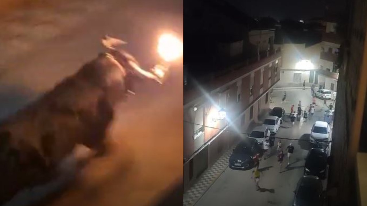 Un toro rompe la valla y siembra el caos en Alcácer