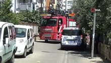 Sevimli kediyi kurtarmak için tüm ekipler seferber oldu, o kurtarılacağı anda atlayıp gitti