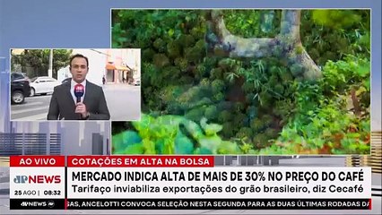 Mercado de café arábica dispara 30% em agosto com tarifaço dos EUA