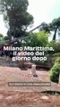 Milano Marittima, il video del giorno dopo