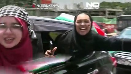 WATCH: Hundreds join demonstration in Kenyan capital over war in Gaza
