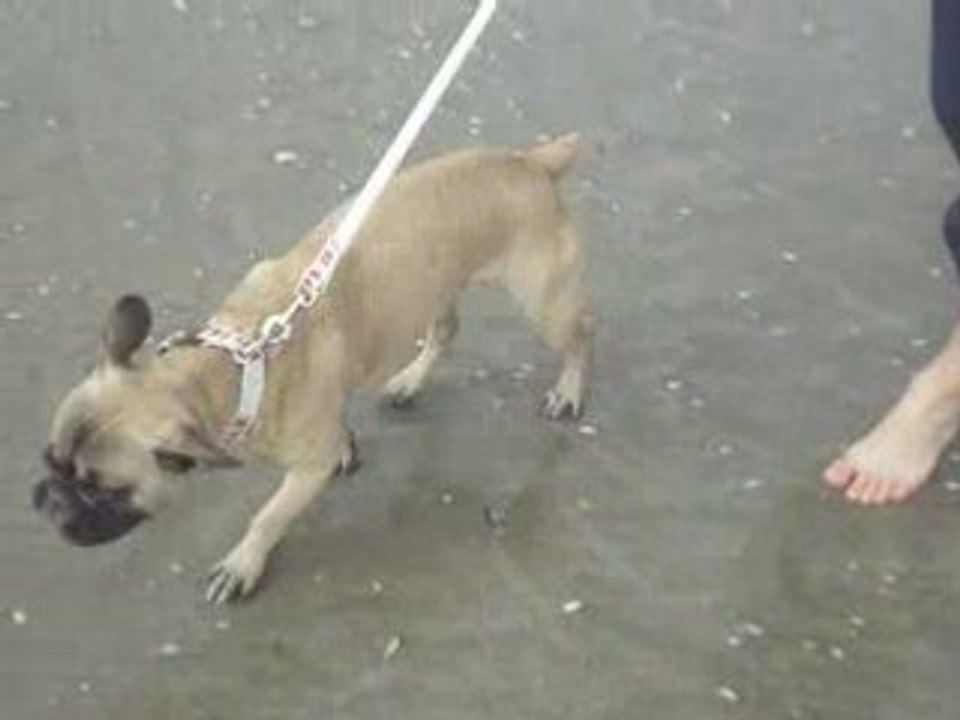 IMGP0850