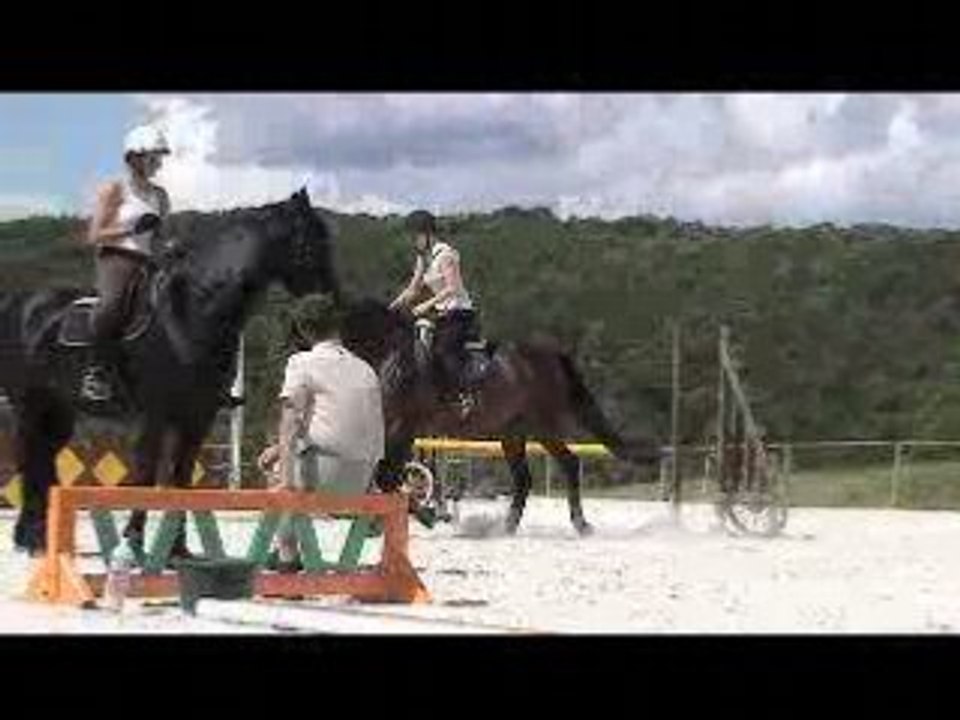 cours mai 2008 vol1