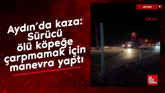 Aydın’da kaza: Sürücü ölü köpeğe çarpmamak için manevra yaptı
