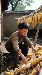 FB_☘️🌸☘️chuyến xe cuộc đời #_720p