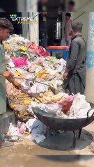 "Unbelievable! Plastic Chairs Made from Corn Flour Packaging Waste