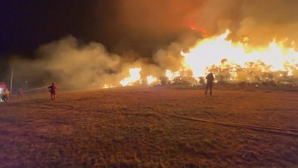 Gigantesques incendies en Espagne : plus de 350.000 hectares de végétation détruits