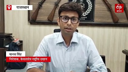 केवलादेव में गूंजा पेंटेड स्टार्क का कलरव, 200 के झुंड ने शुरू की नेस्टिंग, 700 कार्मोरेंट भी पहुंचे