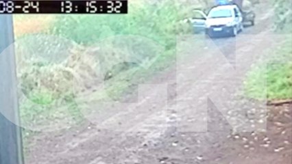 Descarte irregular de lixo é flagrado por câmera no Lago Azul