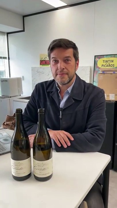 Guide des meilleurs vins de France 2026 : le coup de cœur de notre dégustateur dans le Mâconnais