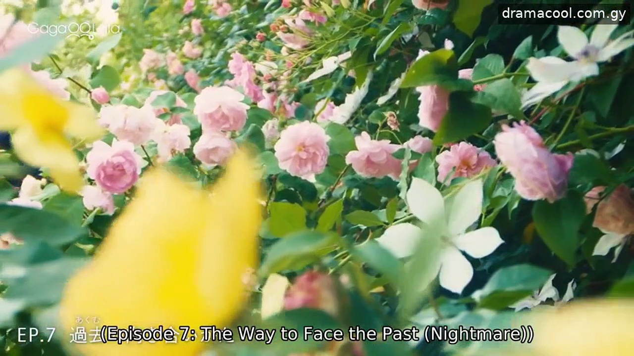  The proper way to write love episode 7 english sub