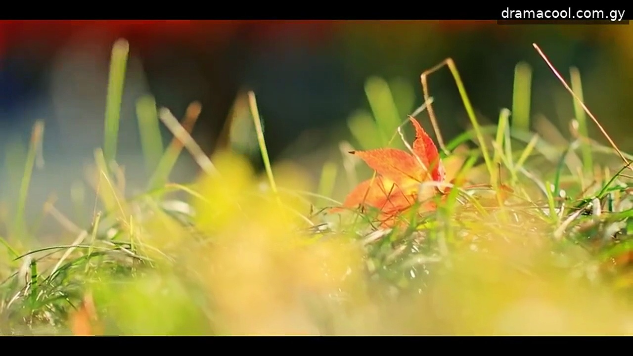  My lovely journey episode 6 english sub