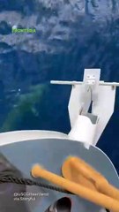 Guardia Costera de EE.UU. decomisa pesca ilegal de mexicanos 🌊🚨