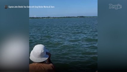 Extremely Rare Albino Dolphin Spotted Swimming Off the Coast of Virginia in Amazing Footage