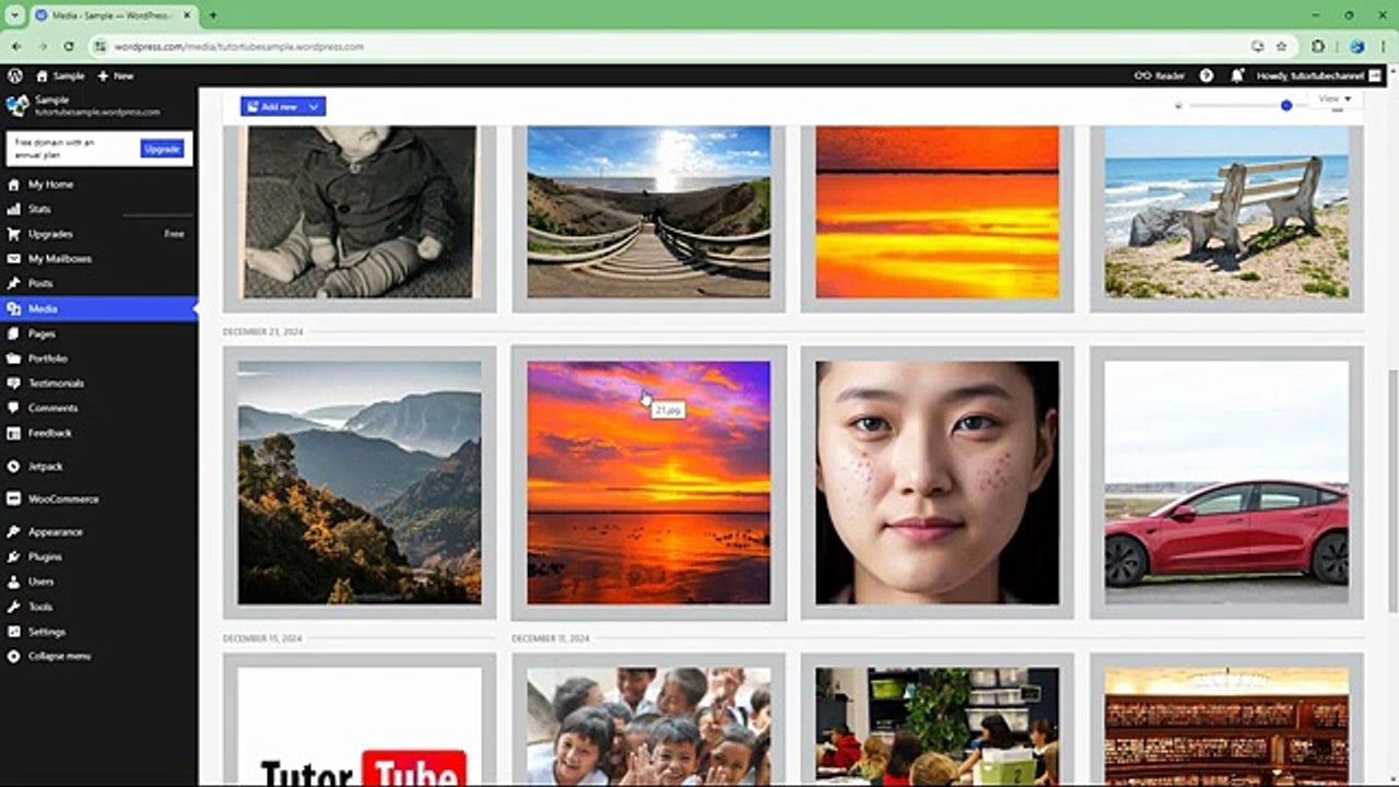Wordpress.com - Lesson 140 - Accessing and Browsing your Media Library