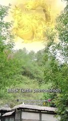 Multi Dub He Joined The Sect To Survive… But Ended Up Awakening A Talent That Could Shake Worlds