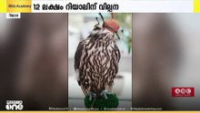 ഫാൽക്കൺ മേളയിൽ റെക്കോർഡ് ലേലം;  12 ലക്ഷം റിയാലിന് വില്പന