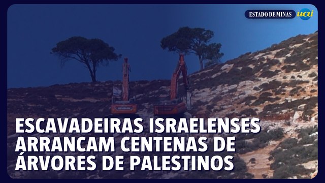 Escavadeiras israelenses arrancam centenas de árvores de palestinos na Cisjordânia