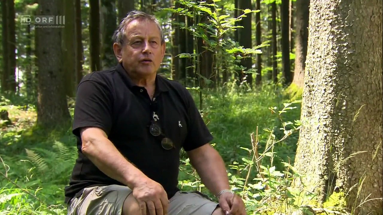 Land der Berge - Das Almtal