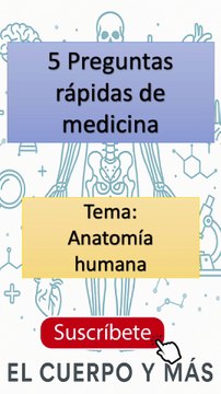 5 Preguntas rápidas de medicina - Tema Anatomía humana Parte 3 #elcuerpoymas #medicina #salud #aprender