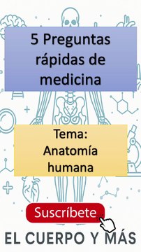 5 Preguntas rápidas de medicina - Tema: Anatomía humana Parte 2 #elcuerpoymas #medicina #salud #aprender