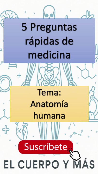 5 Preguntas rápidas de medicina - Tema: Anatomía humana Parte 2 #elcuerpoymas #medicina #salud #aprender