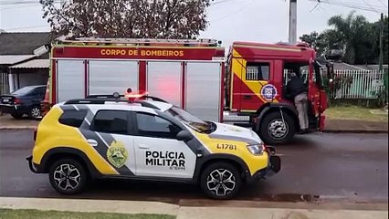 Cão pitbull destrói muro, invade lote e mata cachorro da vizinha