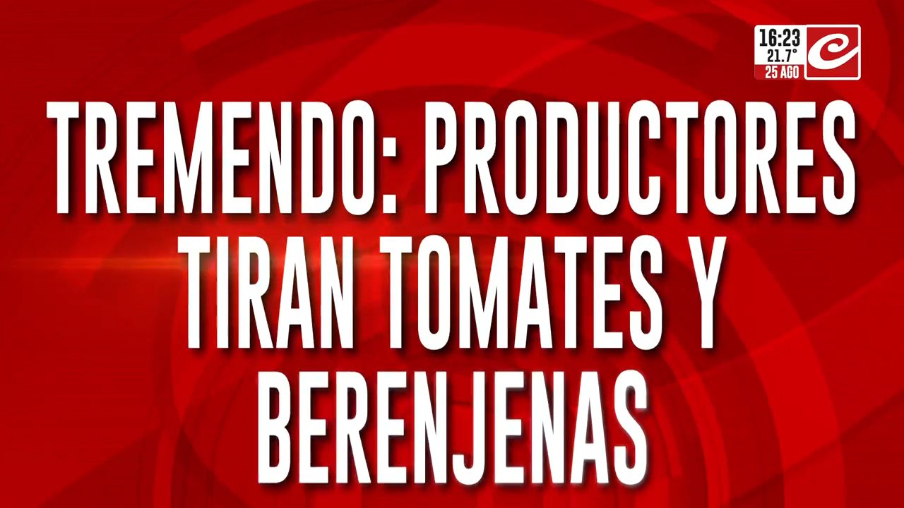 Productores tiran tomates y berenjenas: actividad ilegal derrumba a los comerciantes locales