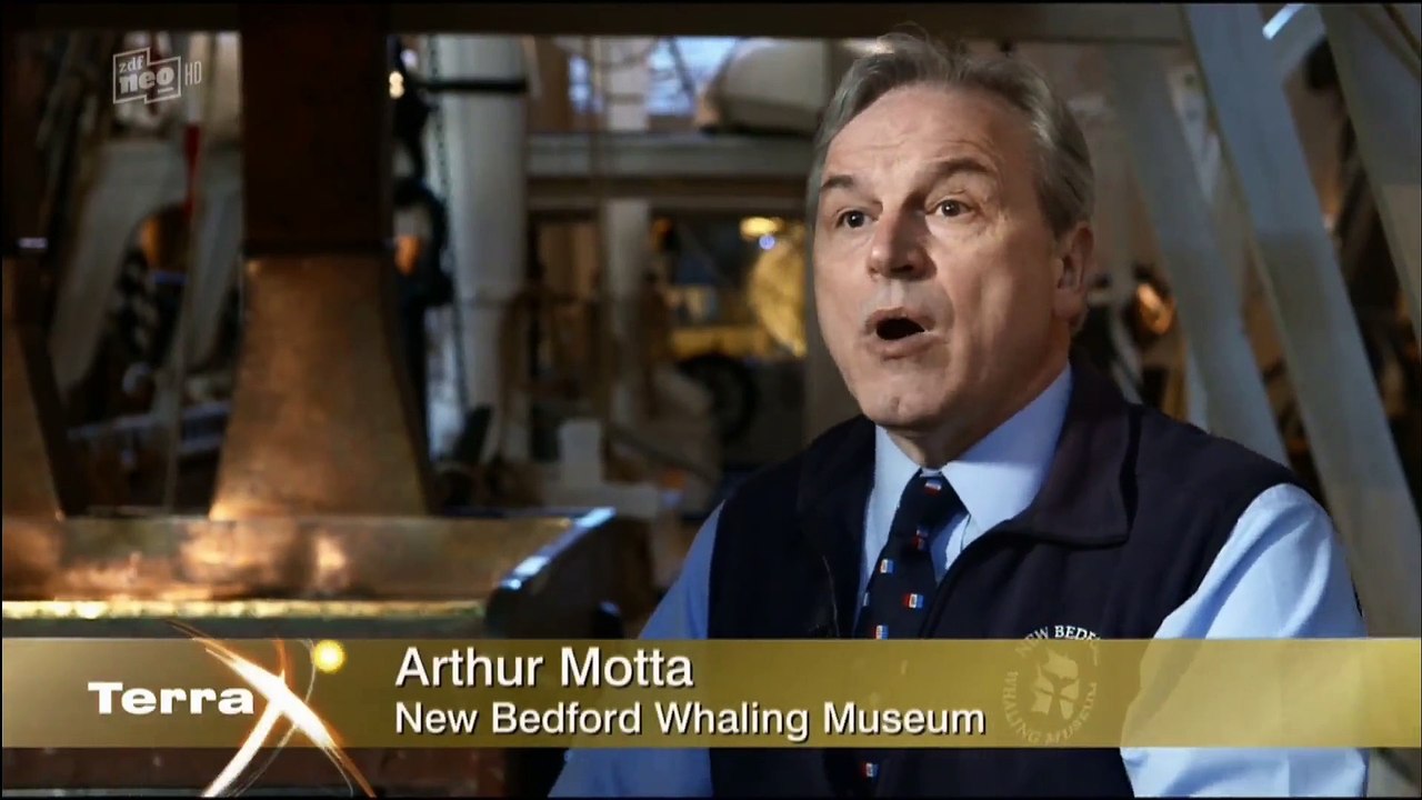 Terra X - Aufstand der Wale