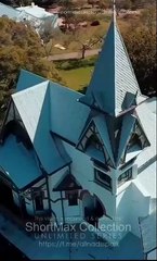 Alpha's Miracle Luna