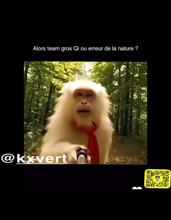 haha