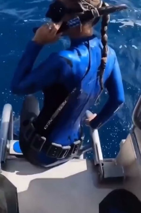 doucement sharky